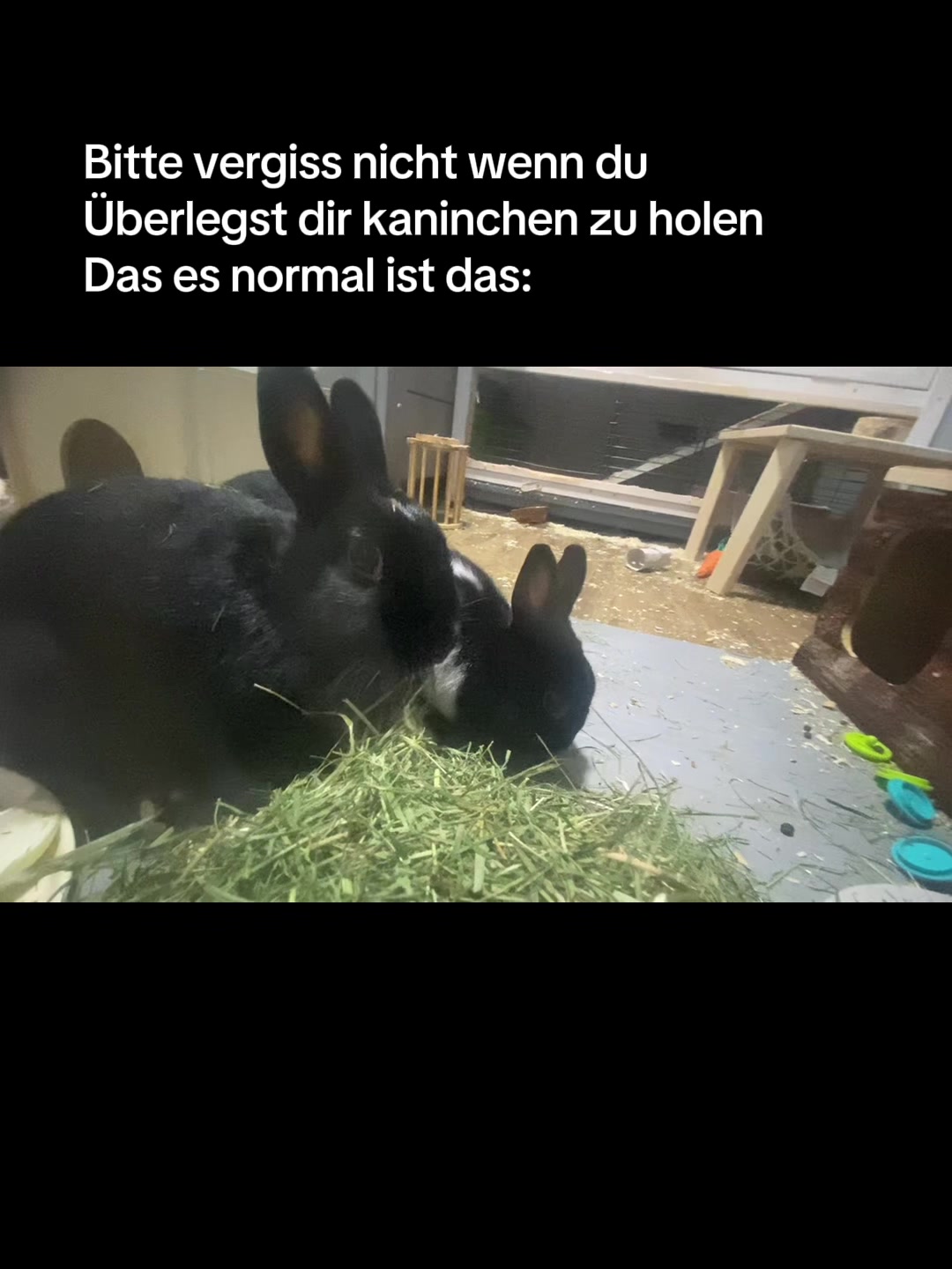 @✾ᴅʀᴇɪ ᴋɴöᴅᴇʟ✾