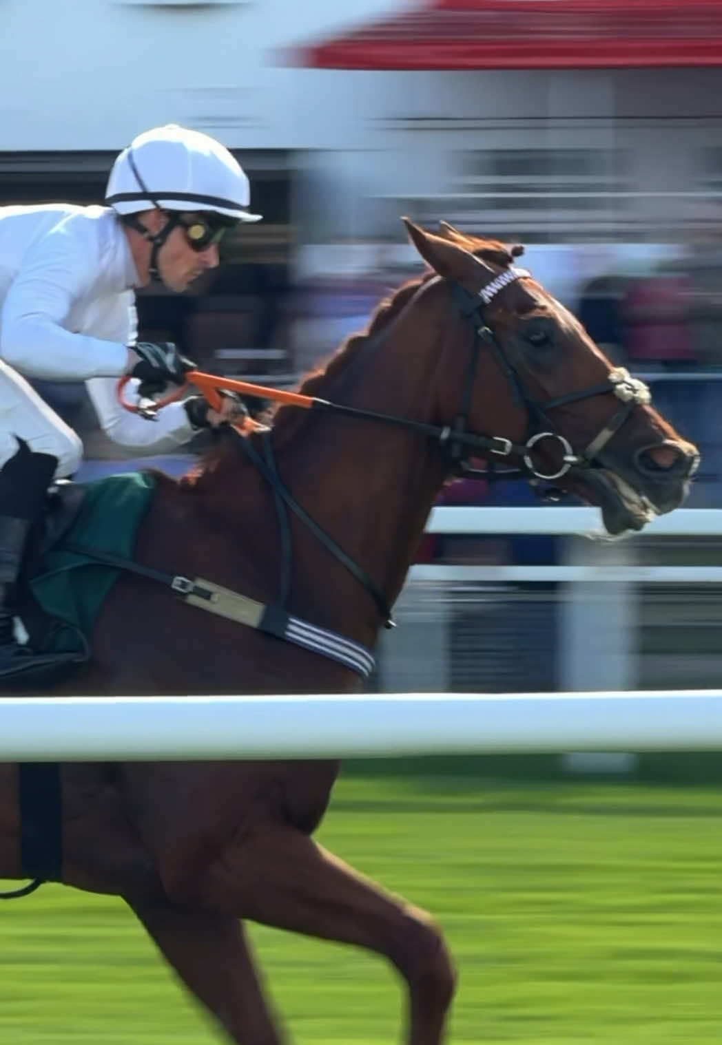 @Laura | German Horseracing
