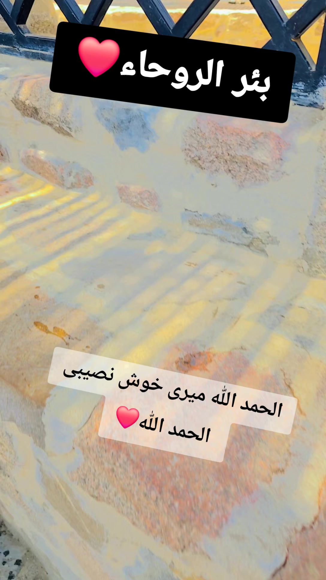 @پـﹻﹻۛ۬ـرنـس عــامـﹿٰٰٖٖٜ۬ﹻـٰ۬ر