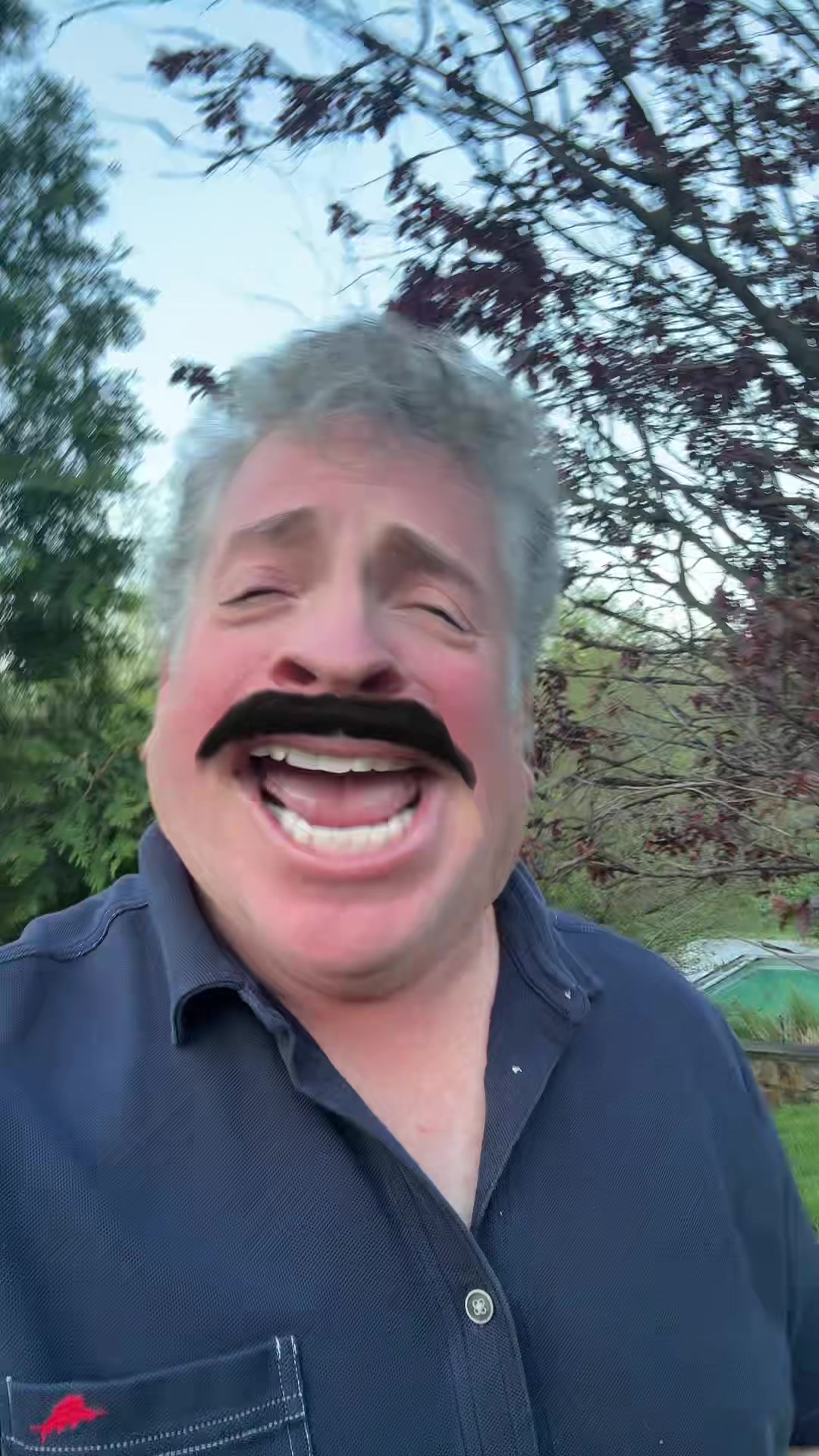 @Mr Morphman