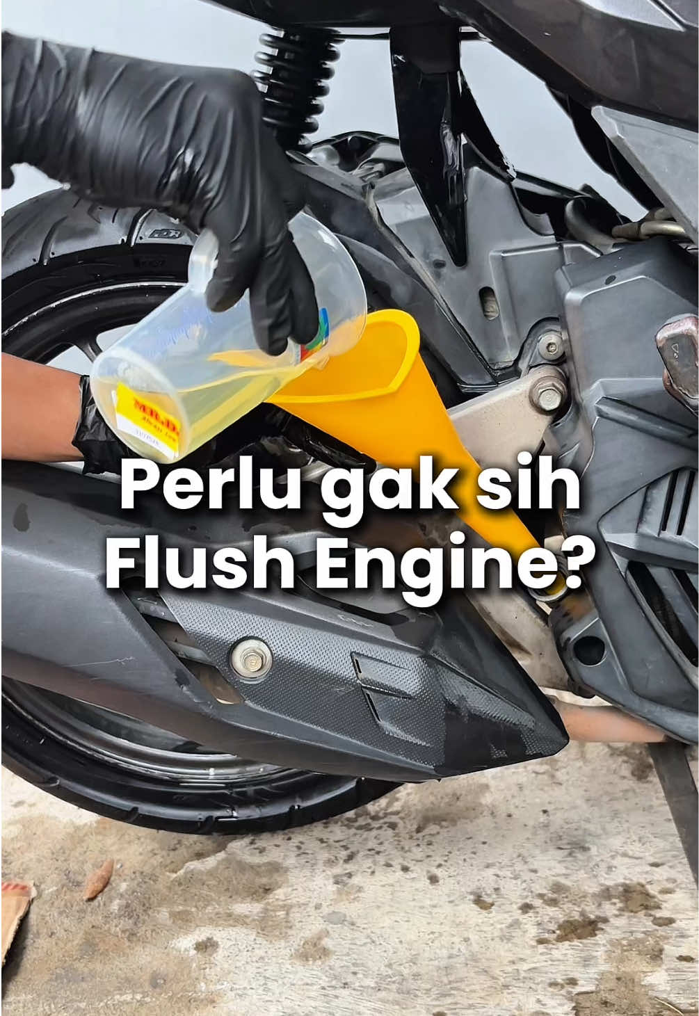 @Bapack Newbie