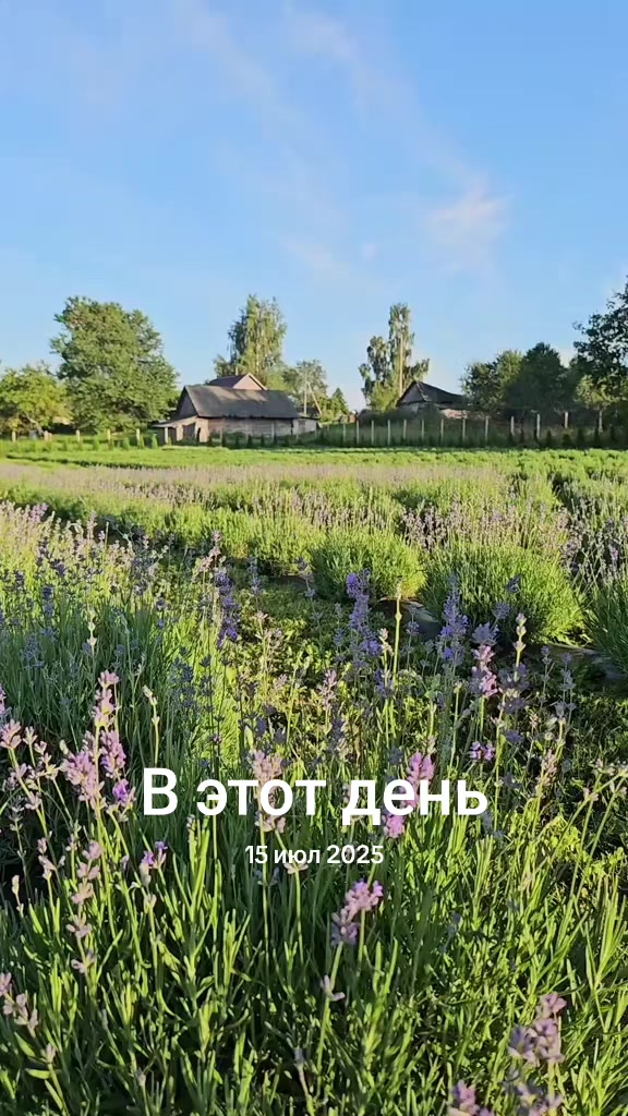 @Алёна