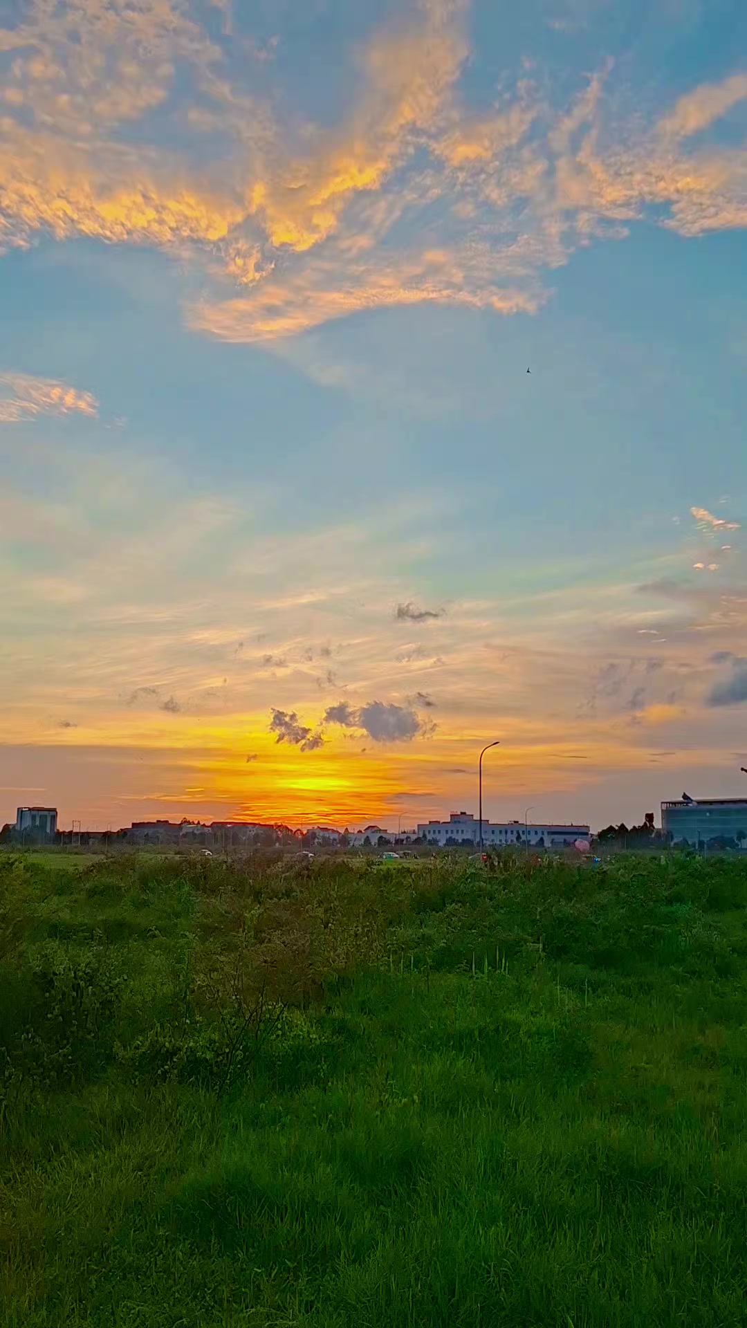 @Người Long An