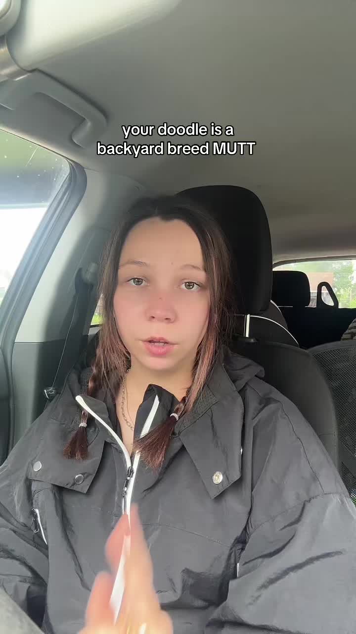 @Kayleigh + Dogs
