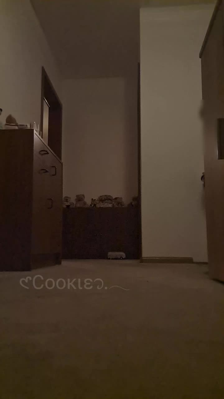 @𑣲С&omicron;&omicron;к&iota;&epsilon;᭡.𓂃