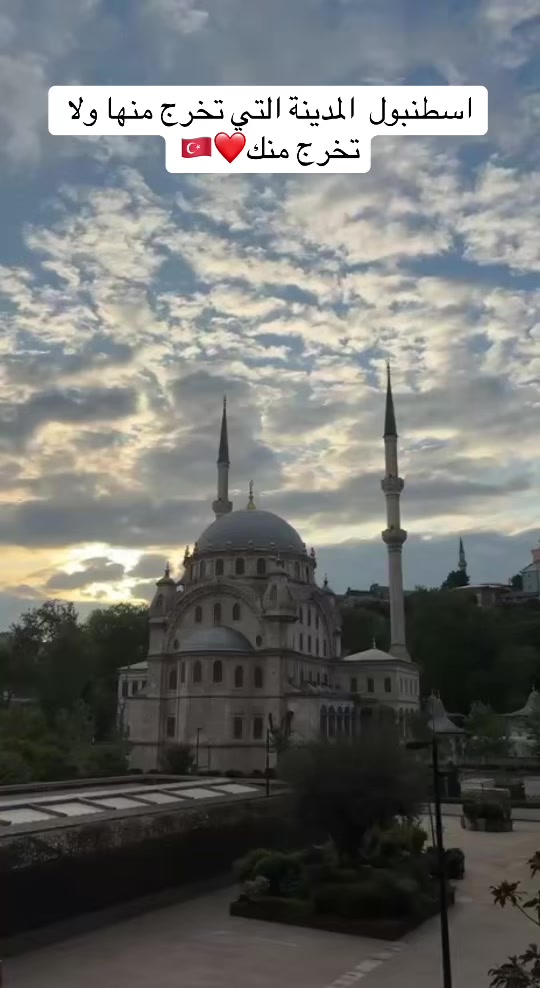 @شركة وتين السياحية في اسطنبول
