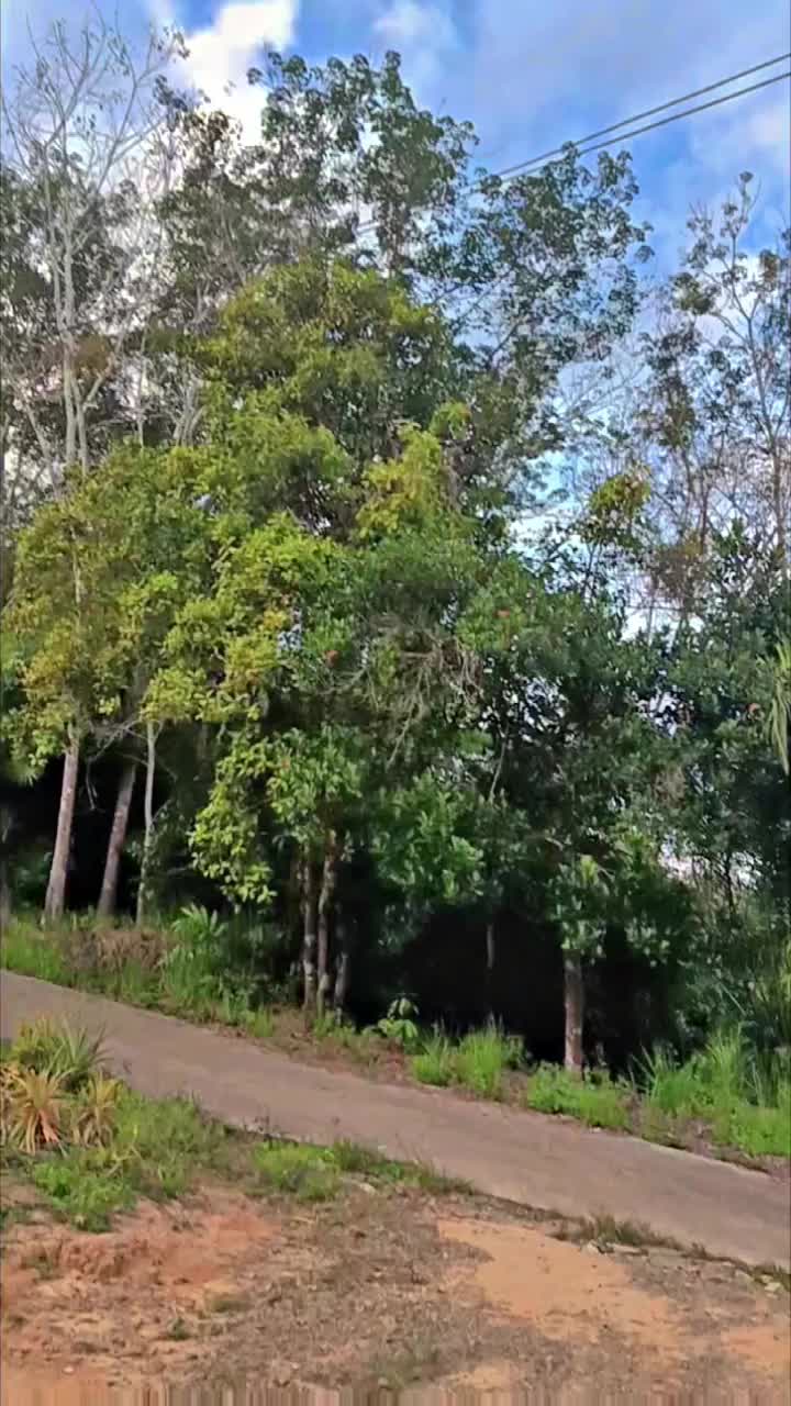 @_Irfan 🚩