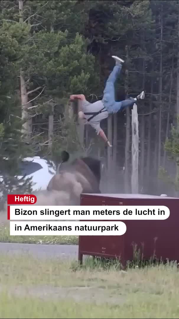 @De Stentor
