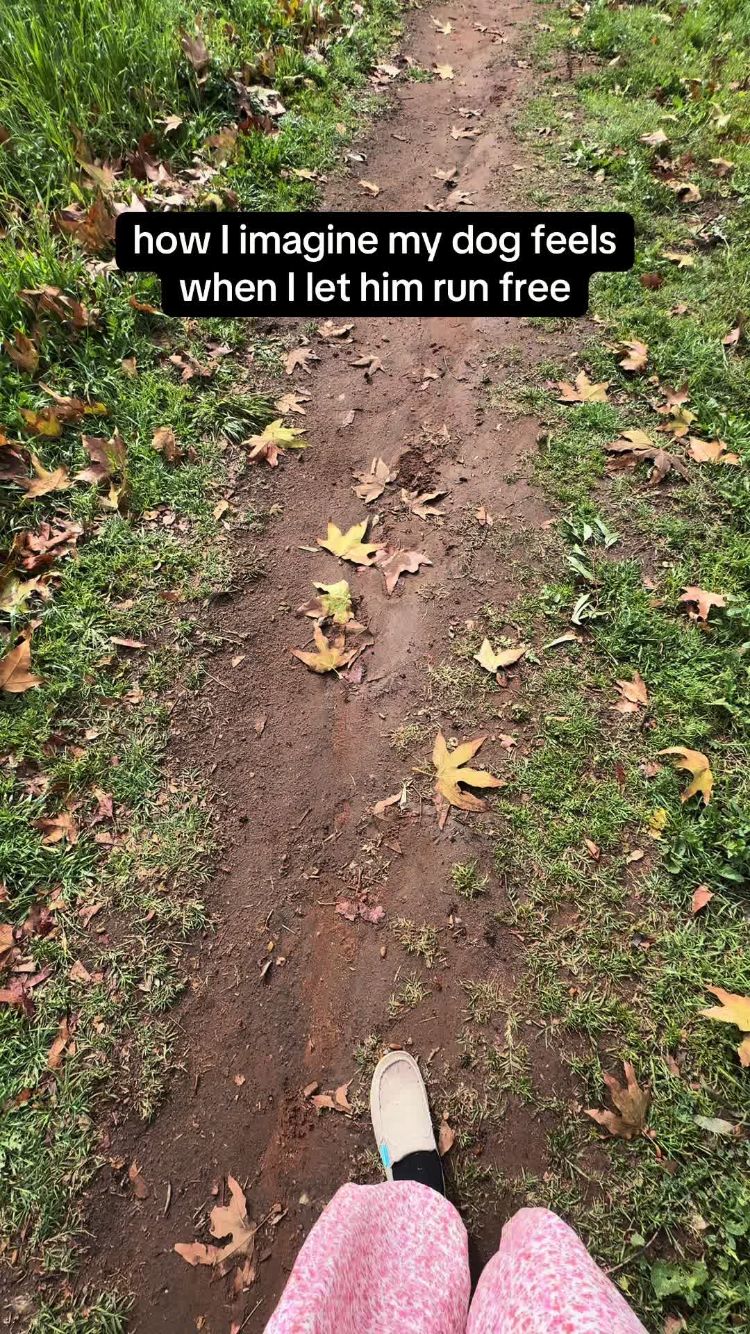 @Kristina 🌱