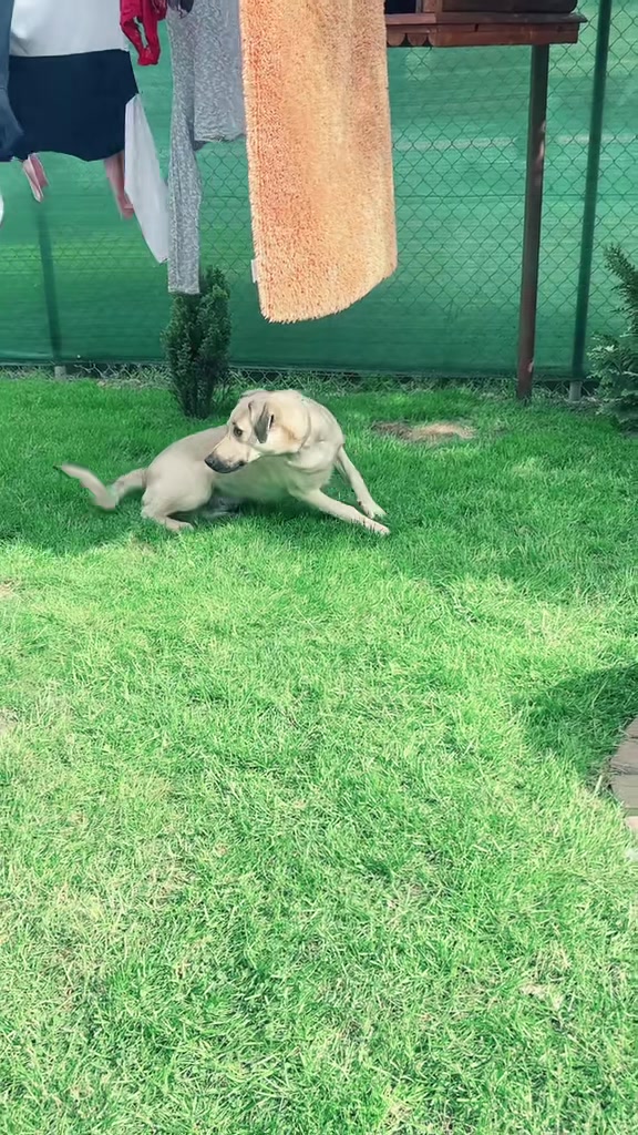 @#therapeutmitherz💯♥️