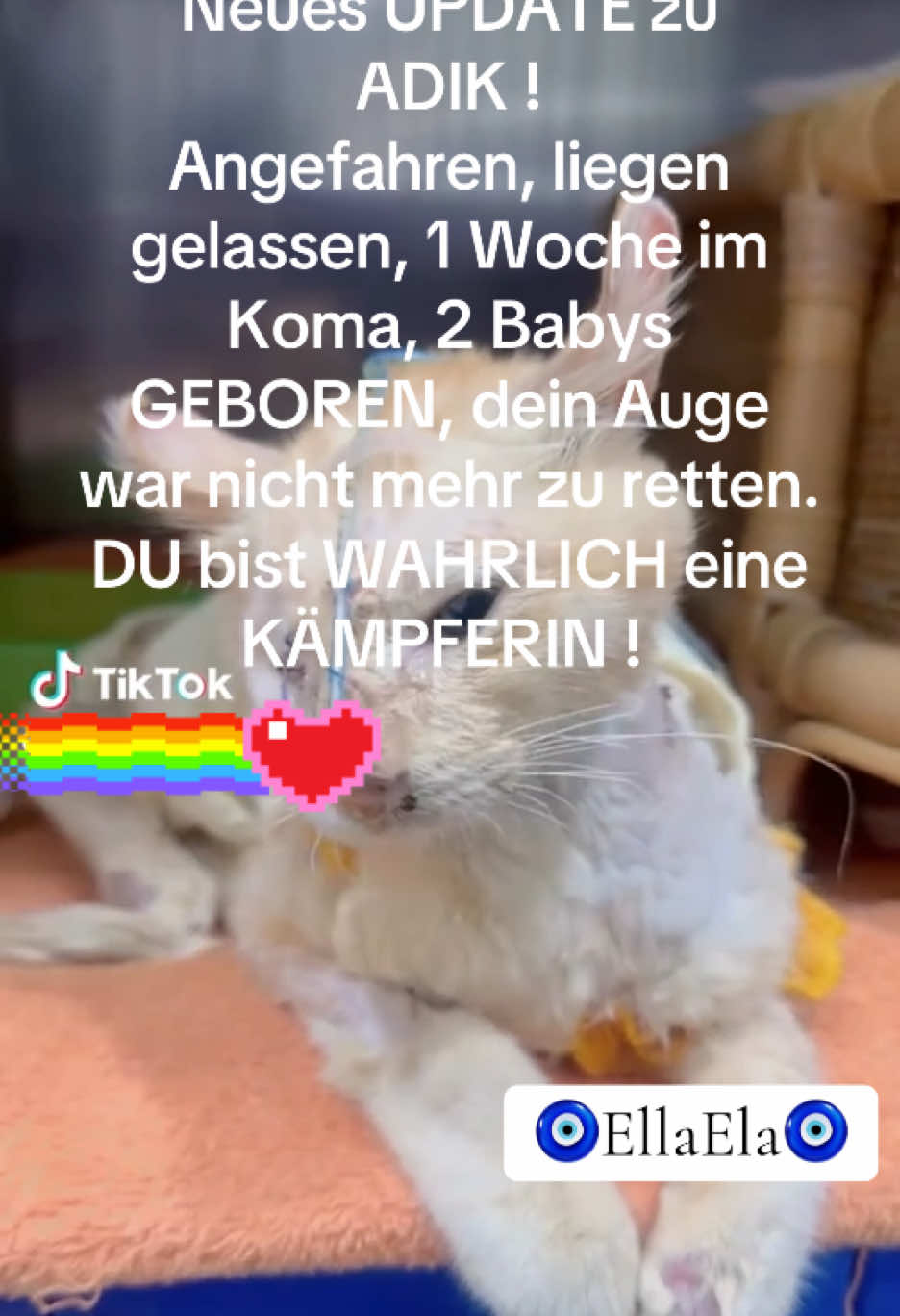 @EllaEla