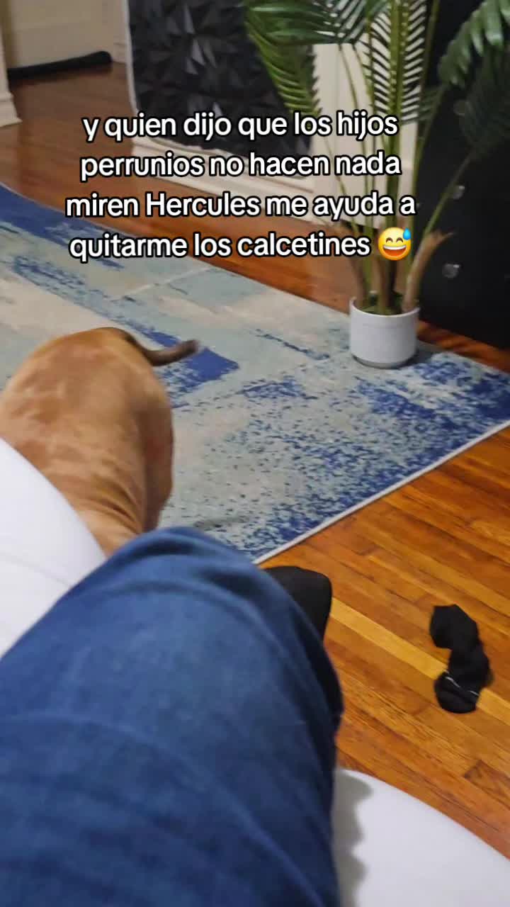 @carlos quintero