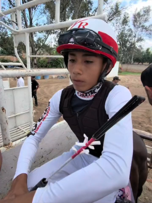@Horses TikTok