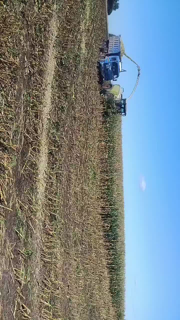 @Александр
