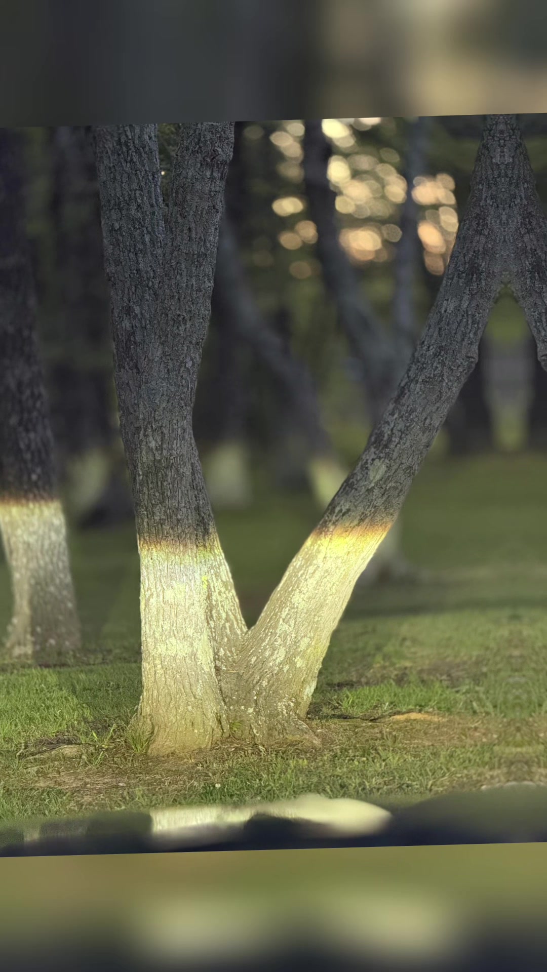 @𝒜𝓈𝒽𝓁ℯ𝓎 ᥫ᭡