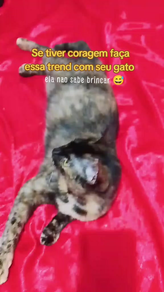 @@Raquel_Balbuena🇵🇾🇧🇷