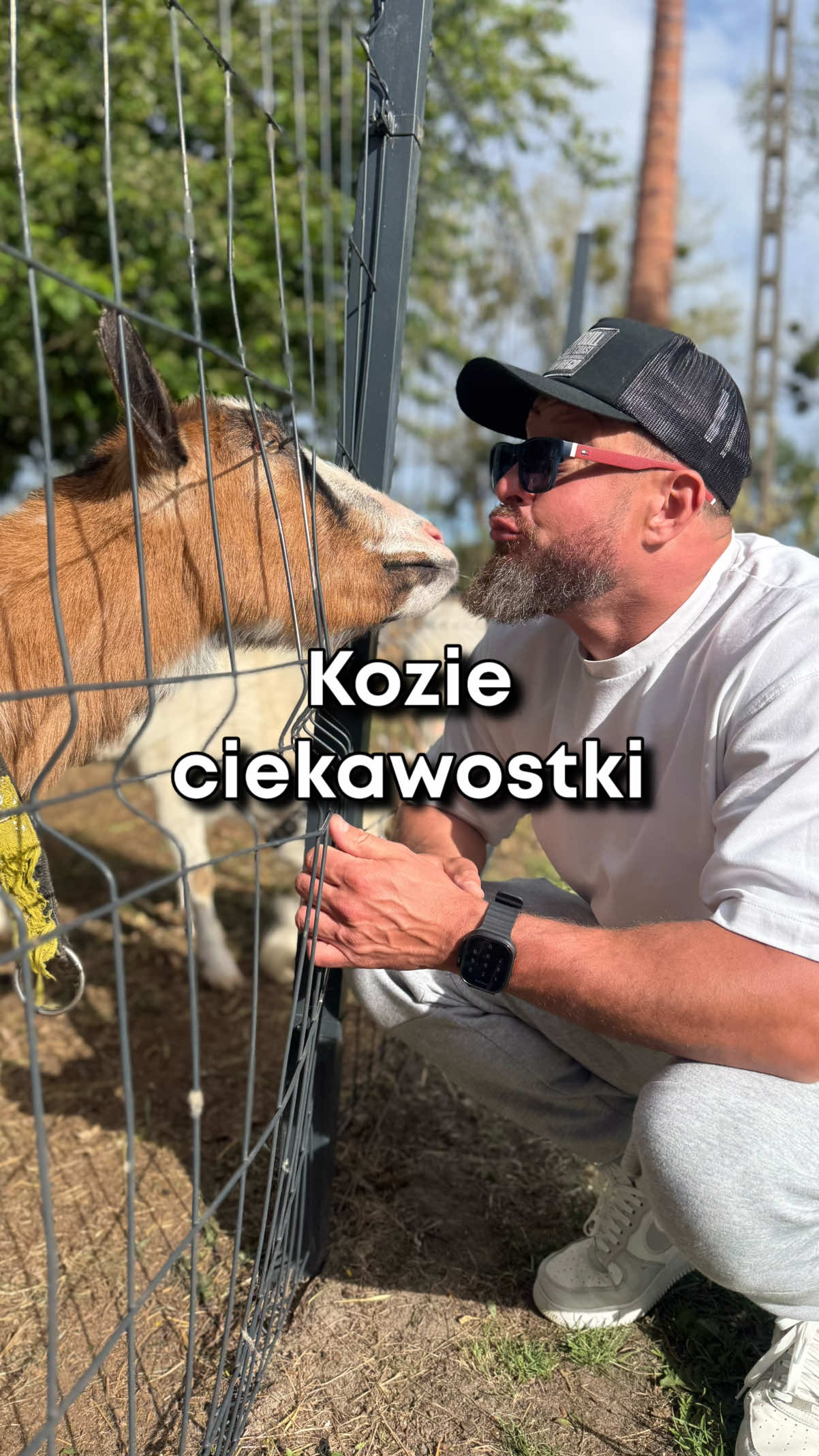 @cowdoctor_pl