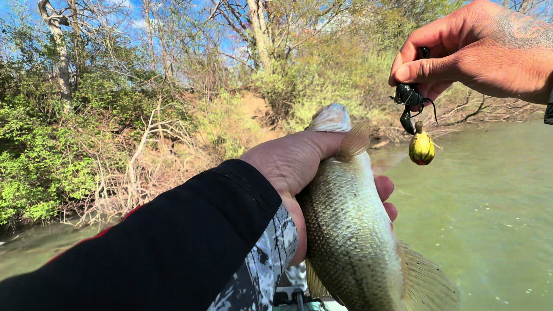 @BigBassFish