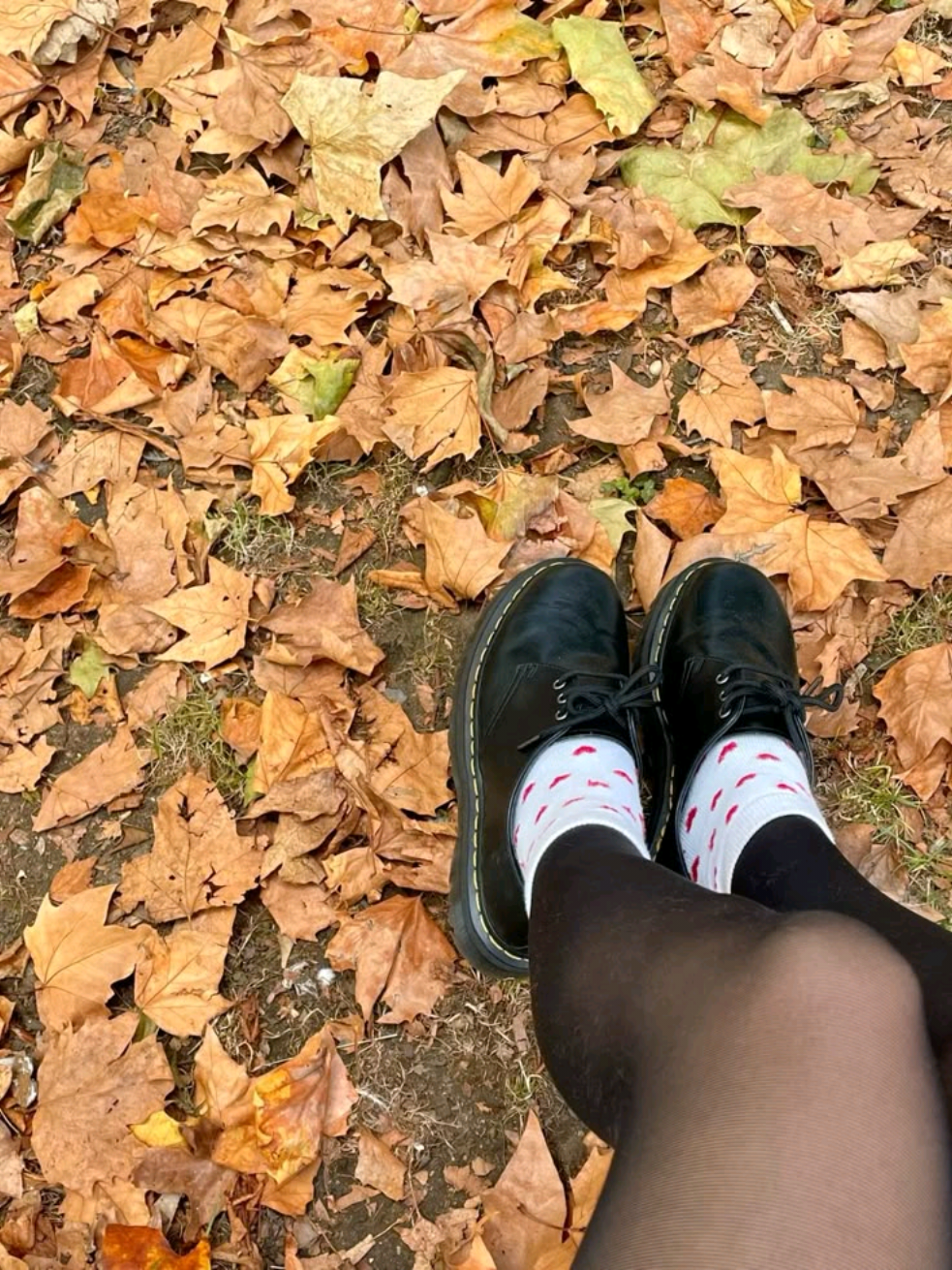 @⋆˚꩜｡fall_diary⋆˚꩜