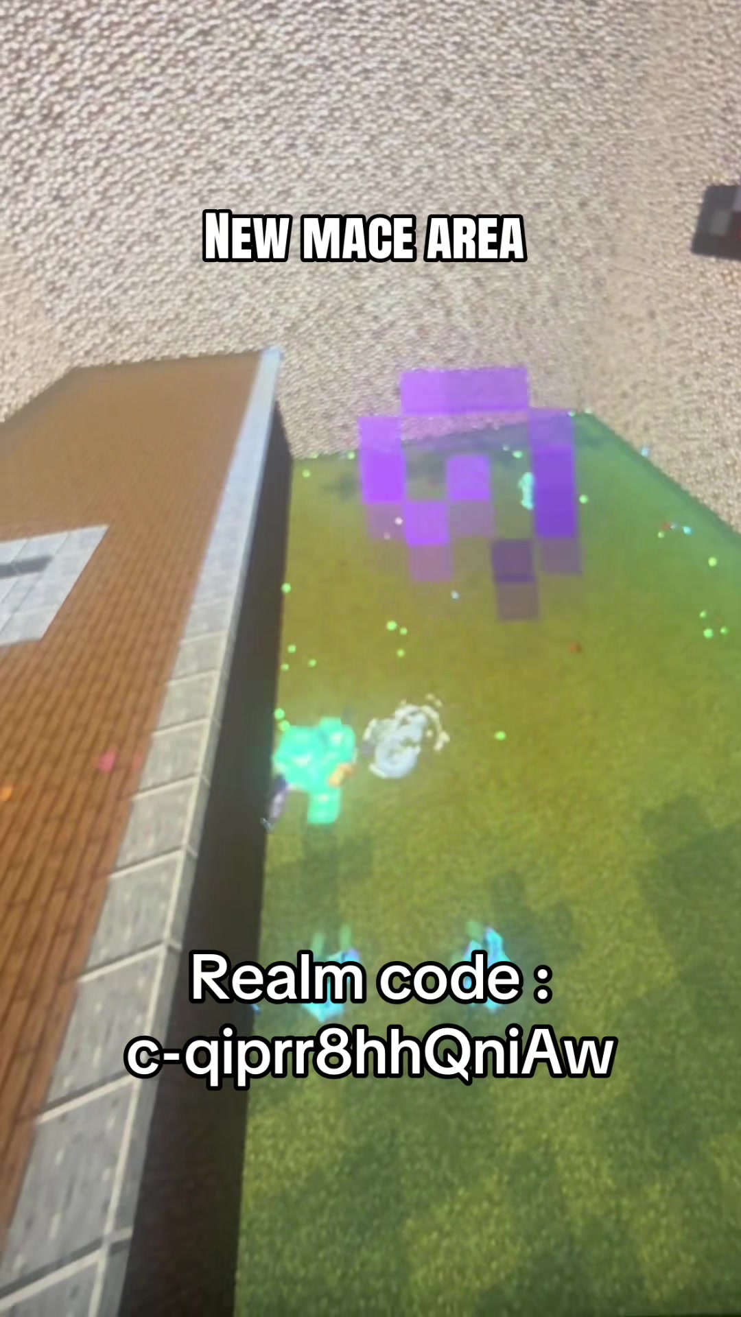 @OP SMP | bedrock realm