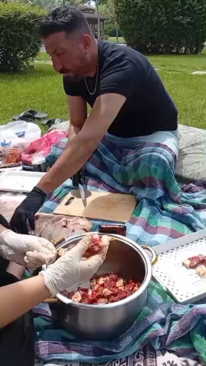 @EmelErdem