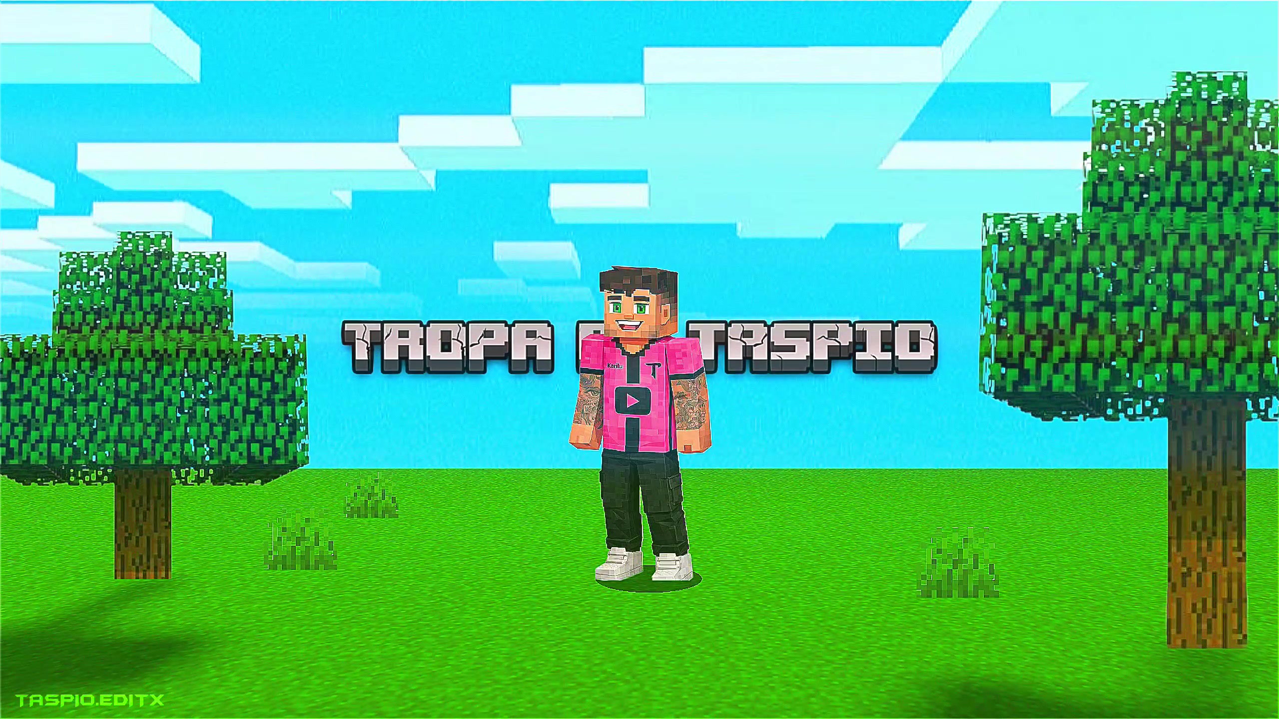 @taspio.editx
