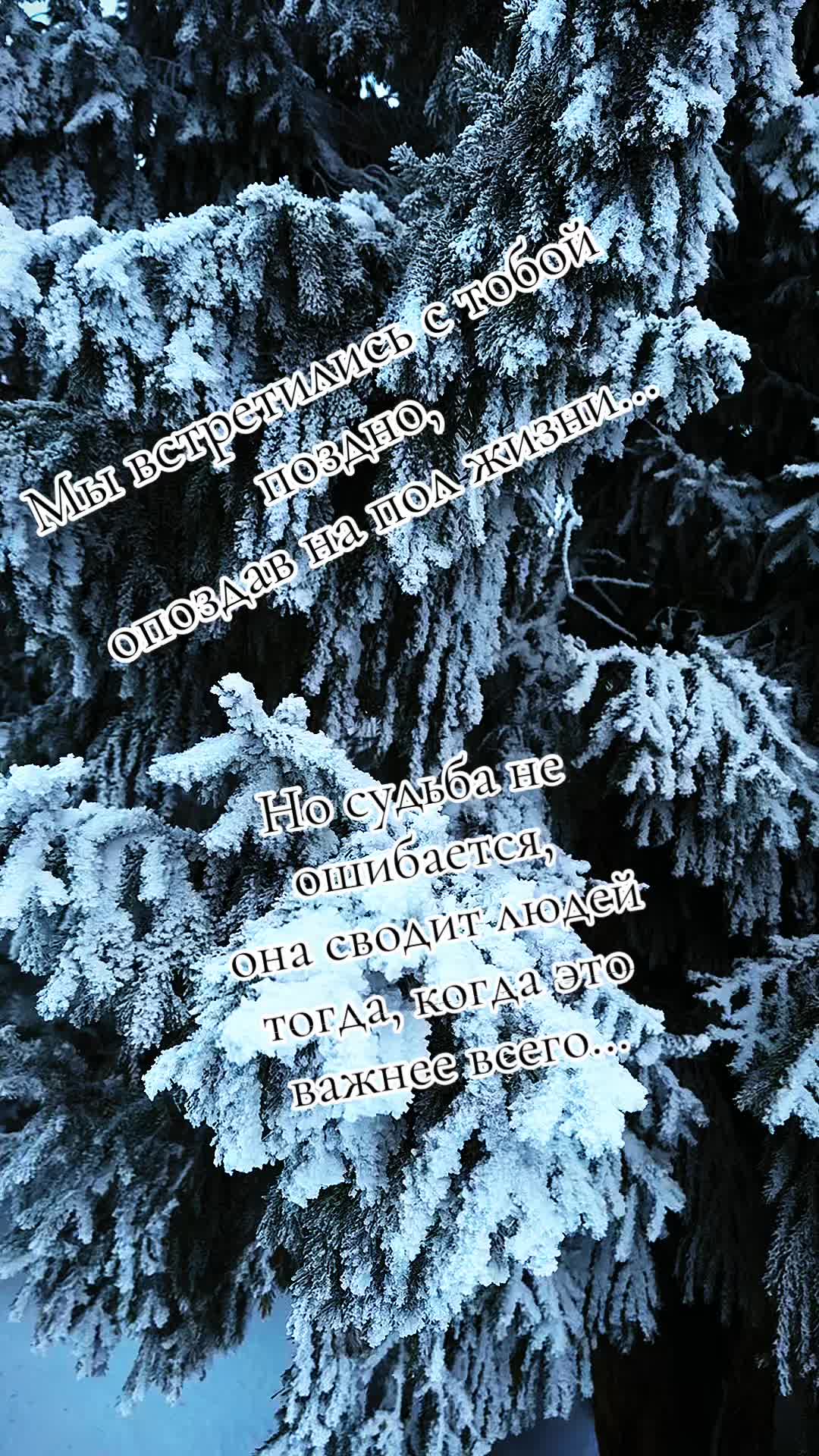 @kseniya2934