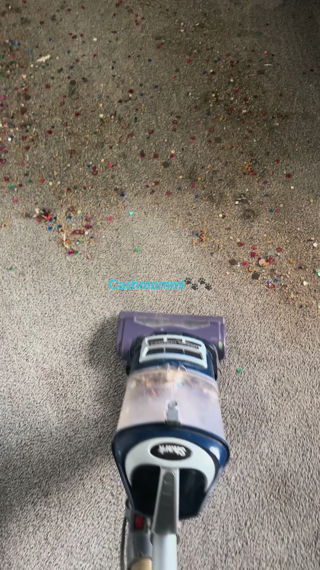 @CashmommiVacs