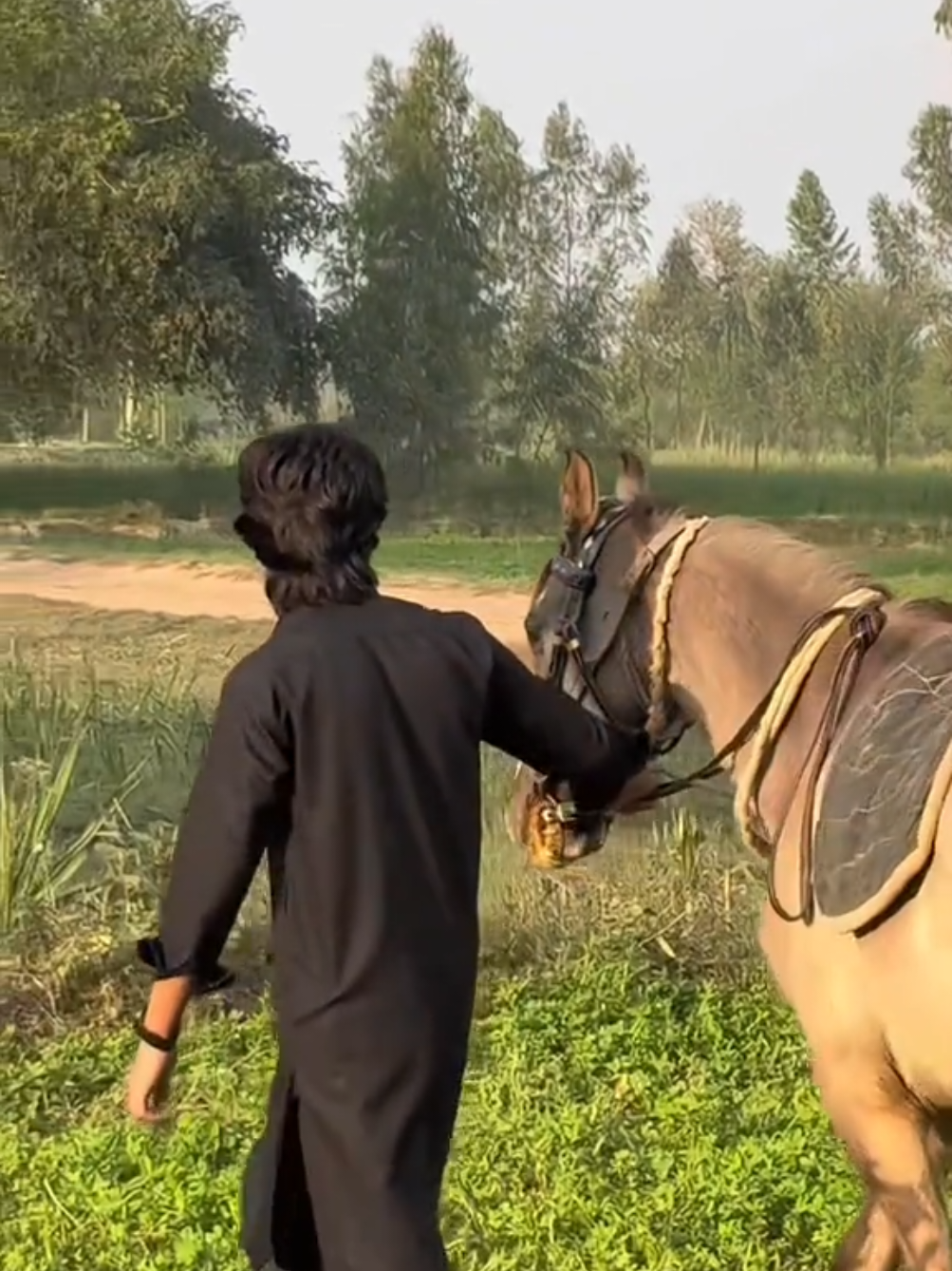 @اشعر بھٹی