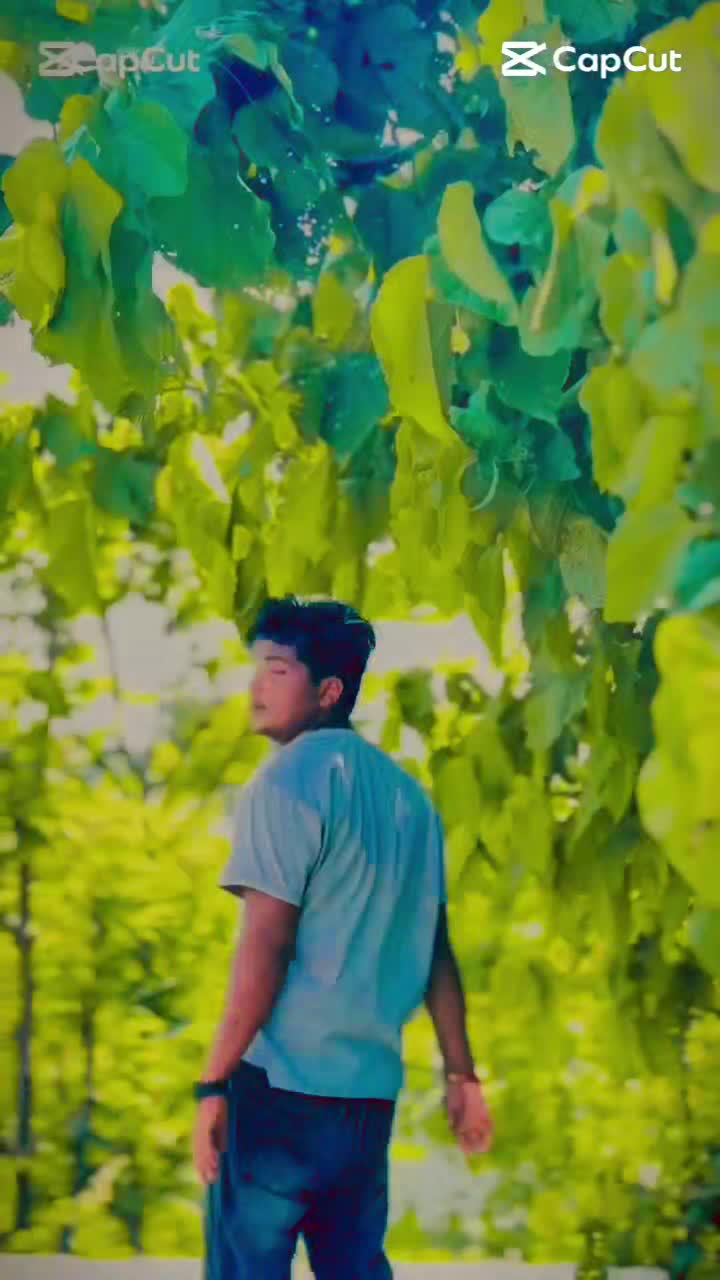 @bhojapuriya raja🫴❤️🩹