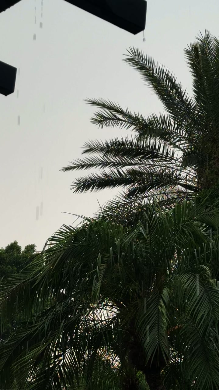 @Minahil🕊️