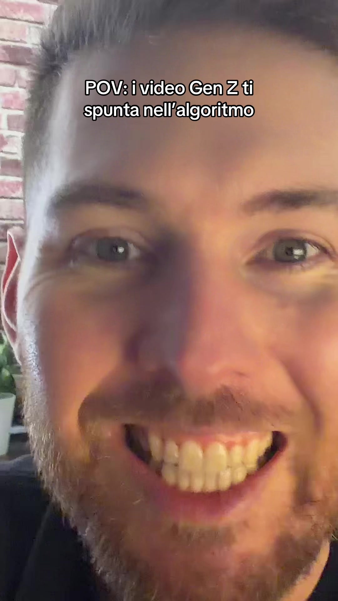 @stevespuntino