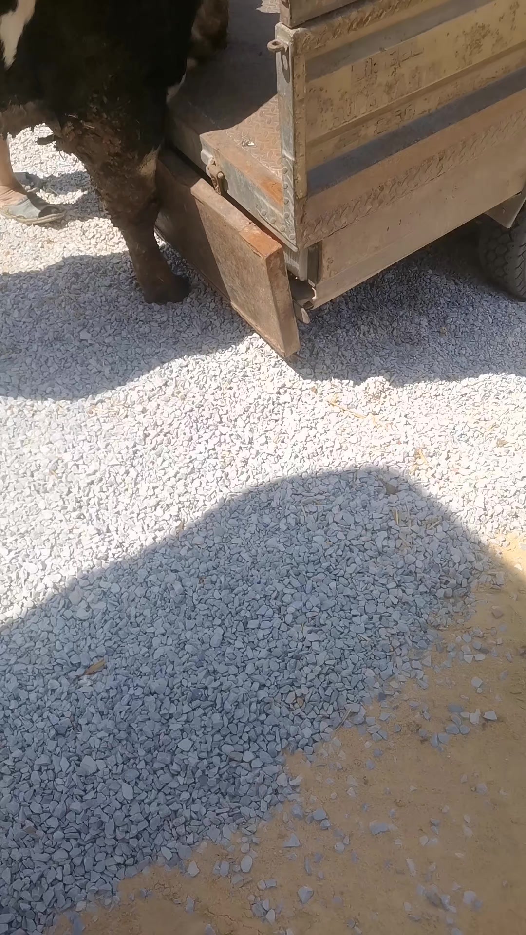 @&Eacute;uchi R&acirc;b&igrave;&icirc;