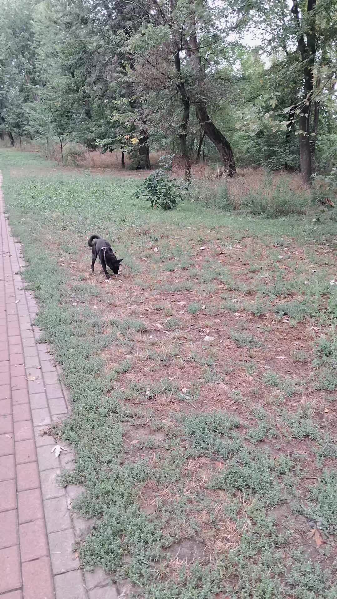 @Лесюня