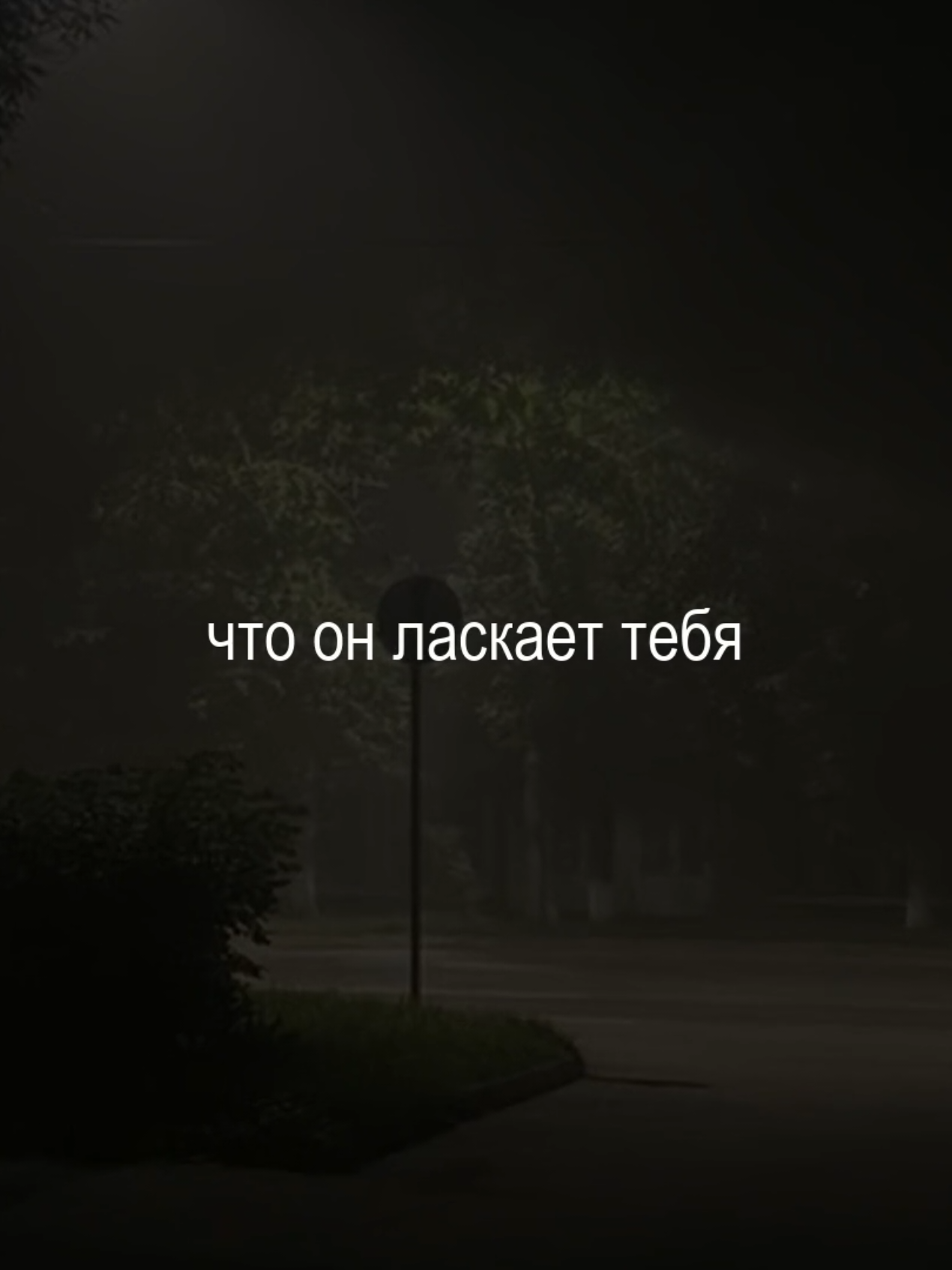 @musicfuz