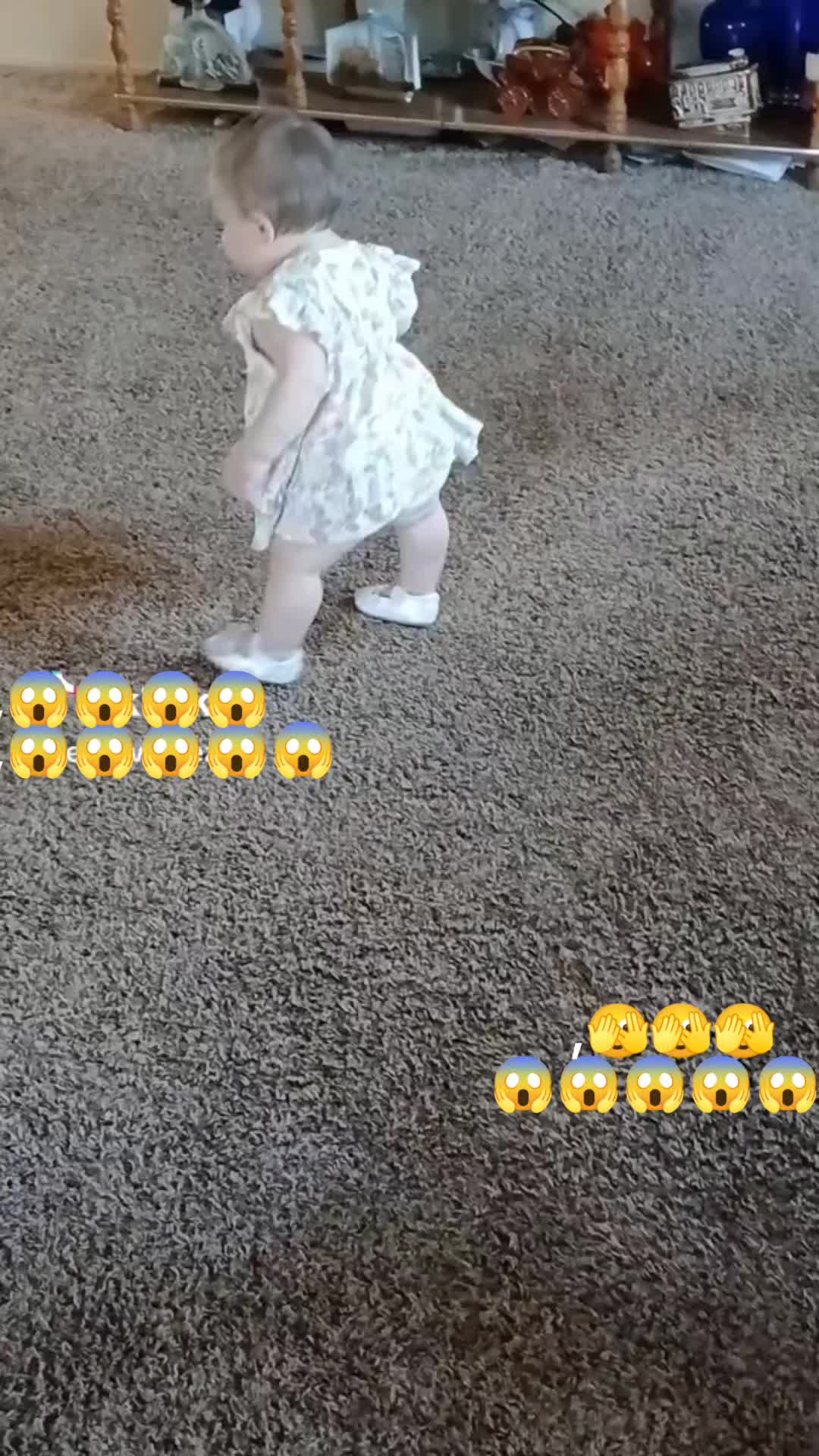 @Elena Canedo