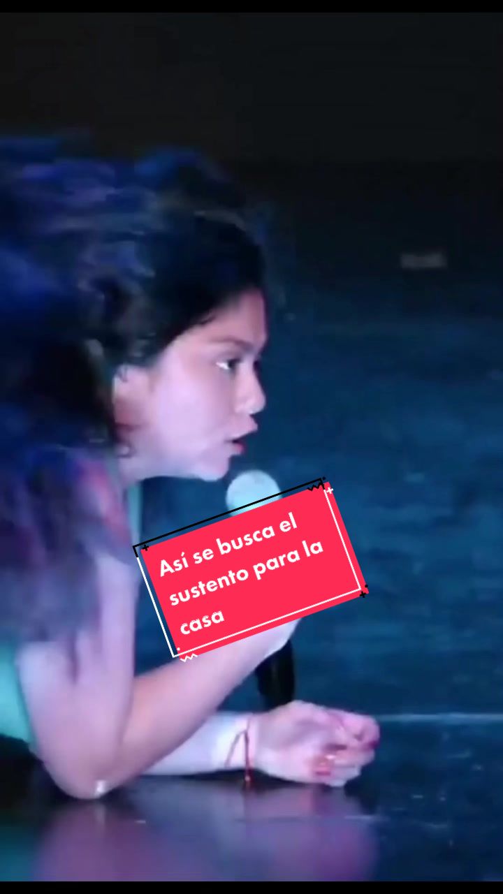 @ComunidadDelCerdito