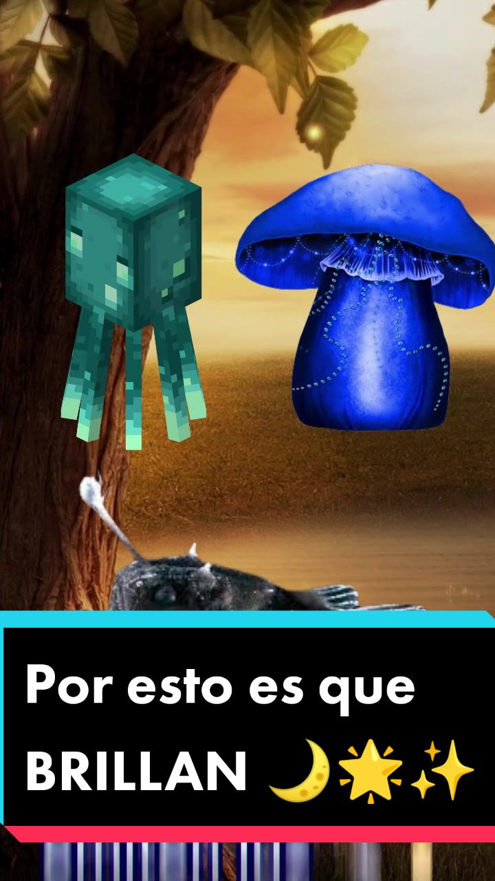 @RoanNews