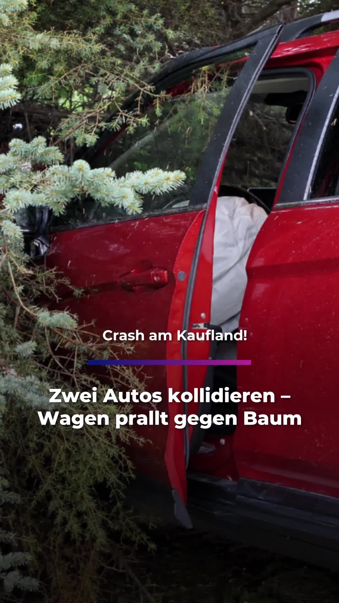 @Sachsen Fernsehen