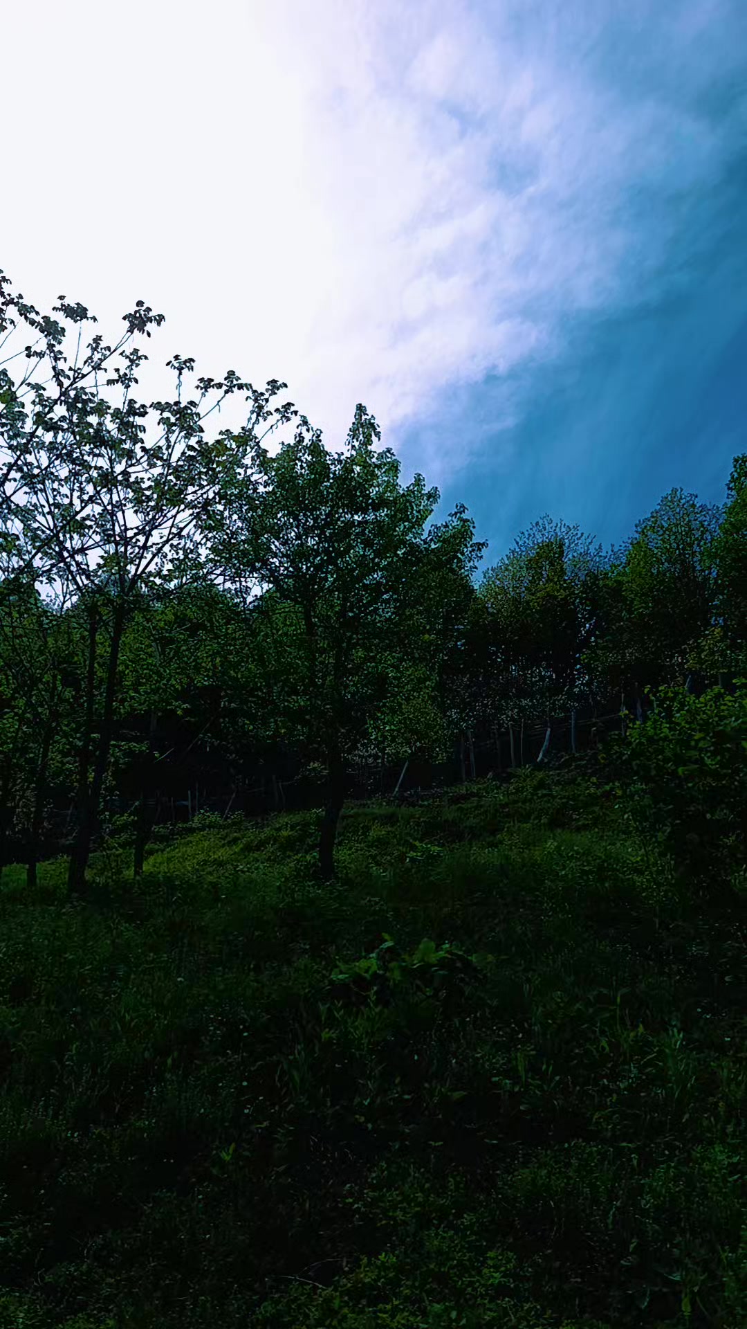 @𝓜𝓮𝓵𝓪𝓱𝓪𝓽 🕊️ 𝓔𝓻𝓴𝓪𝓷