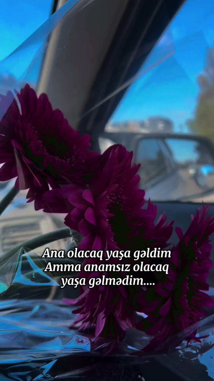 @Amor_Fati_🤍