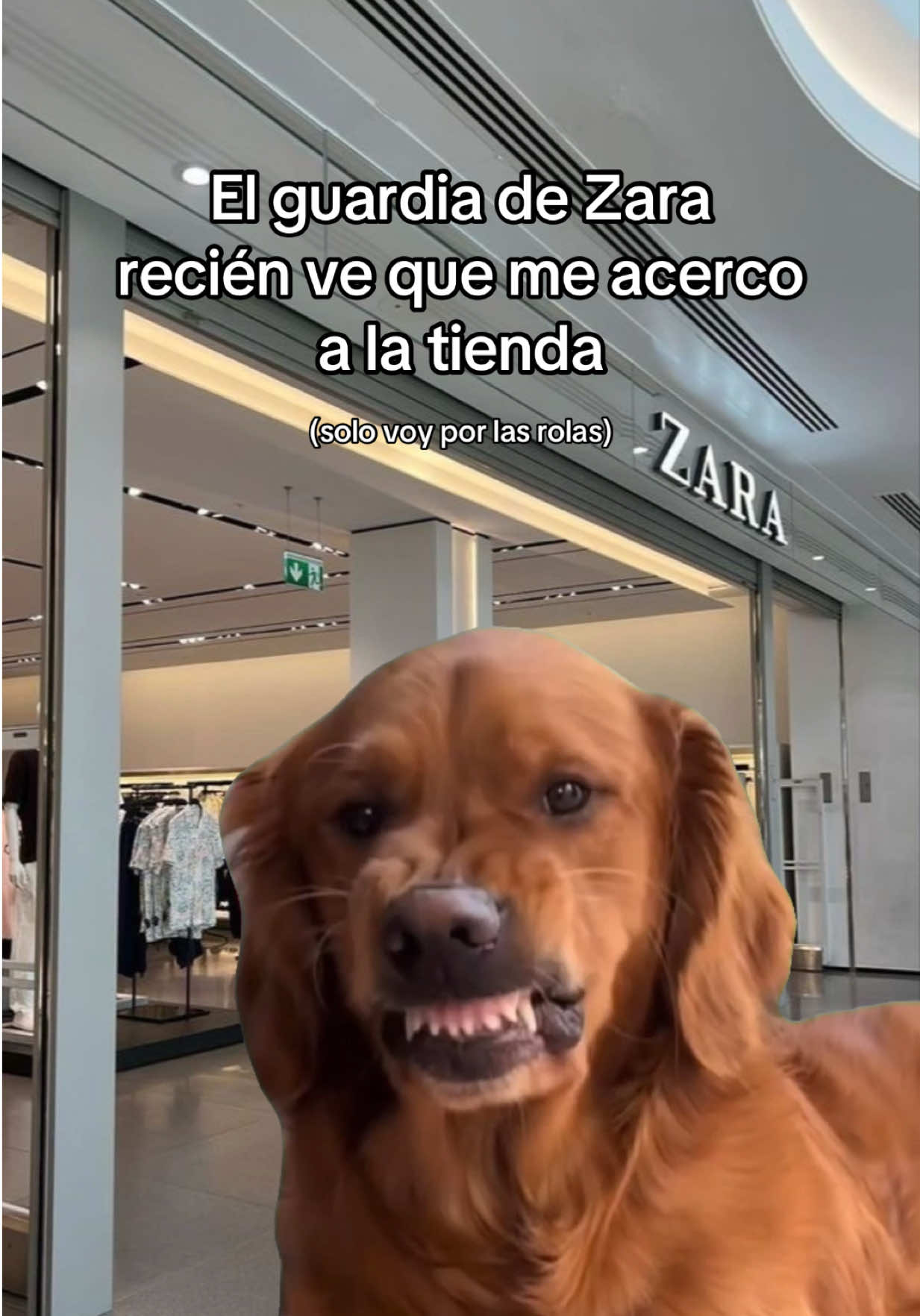 @zarahouseplaylist