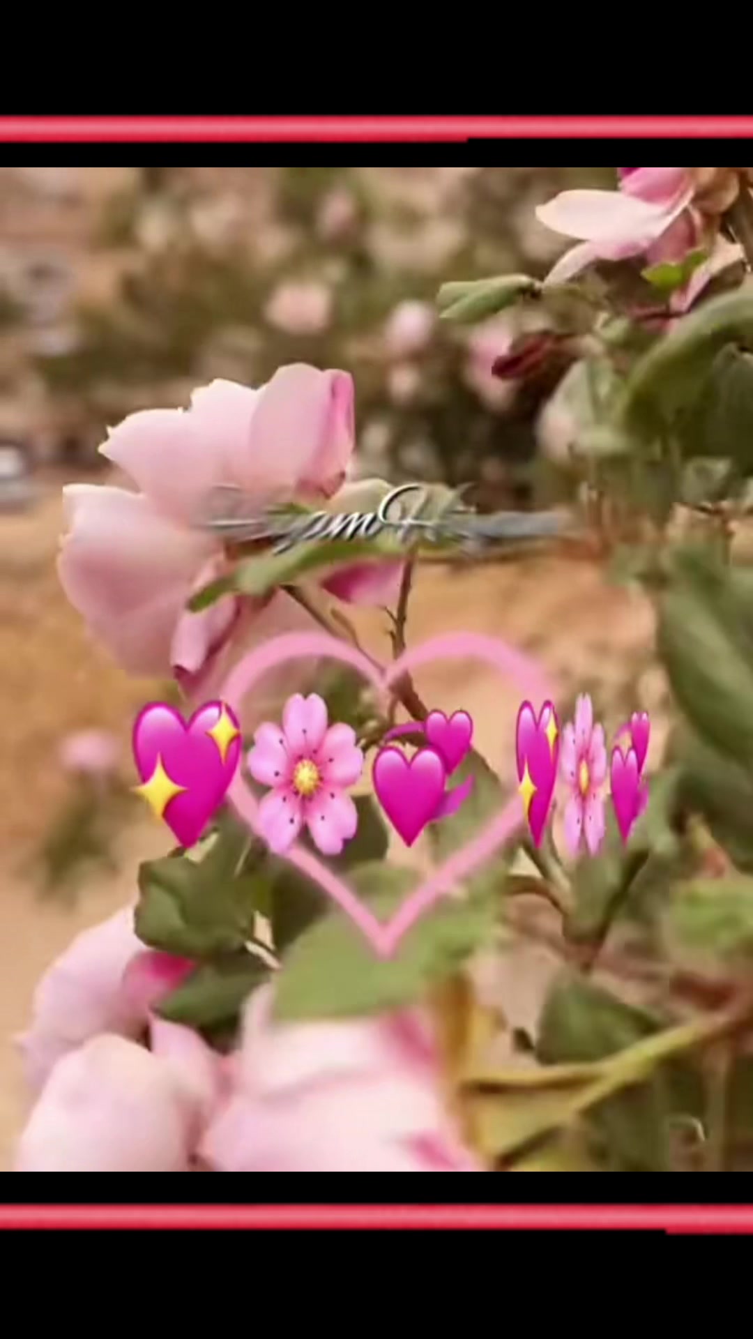 @🪄Hiyam💖✨®