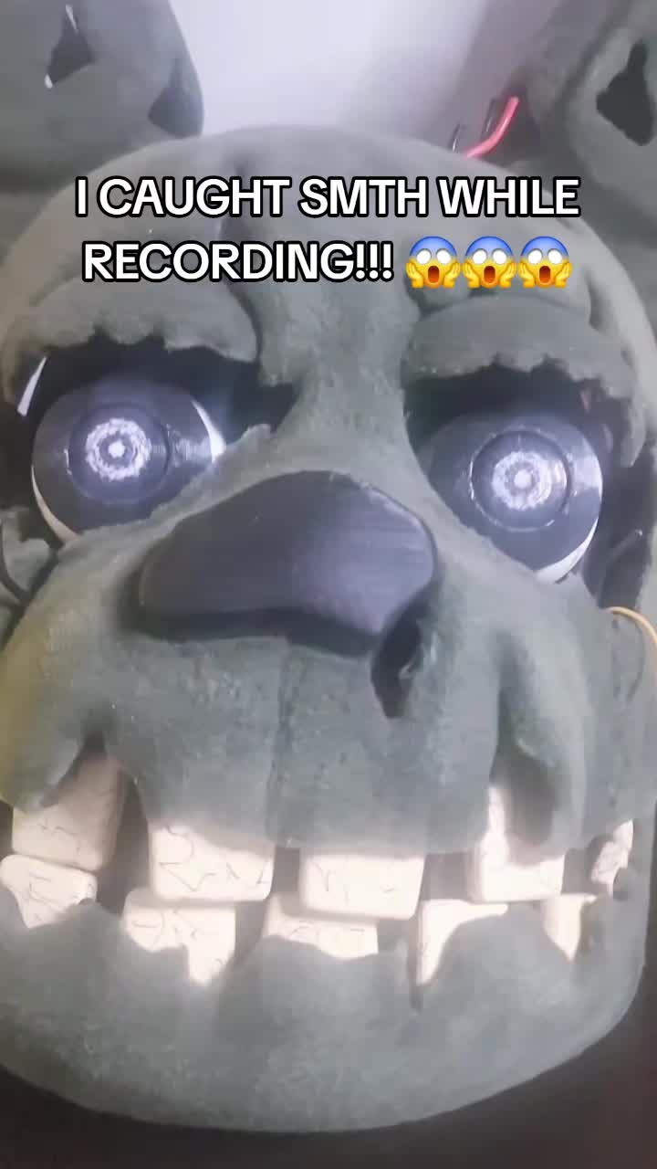 @Jonne 🇳🇱🇩🇪🇵🇱