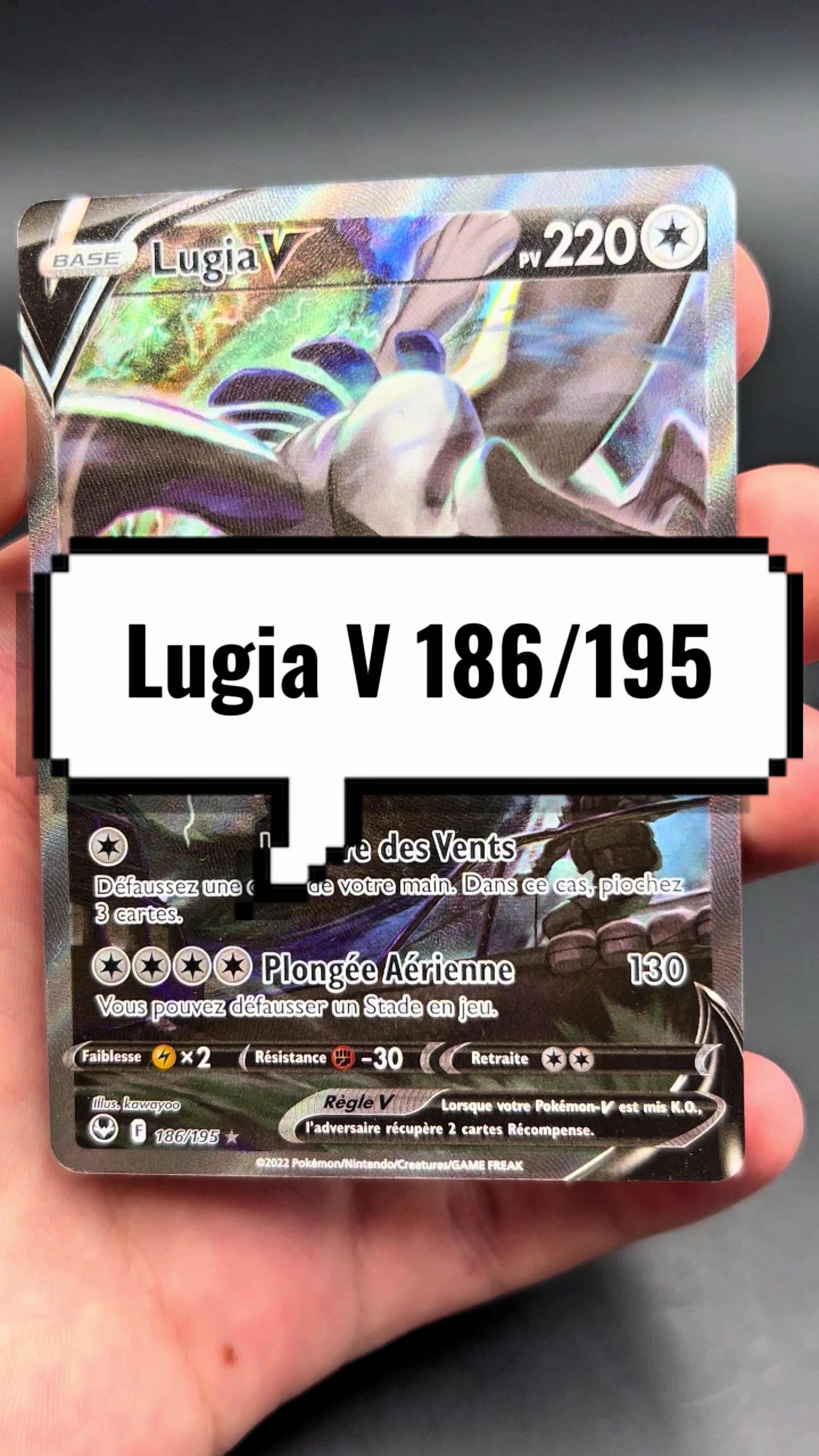 @LECTOR | Boutique TCG Rouen