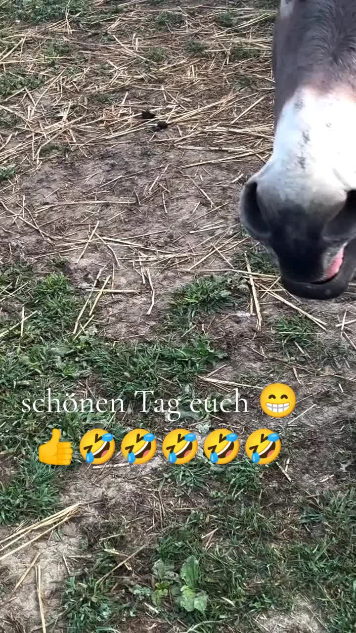 @Zeus