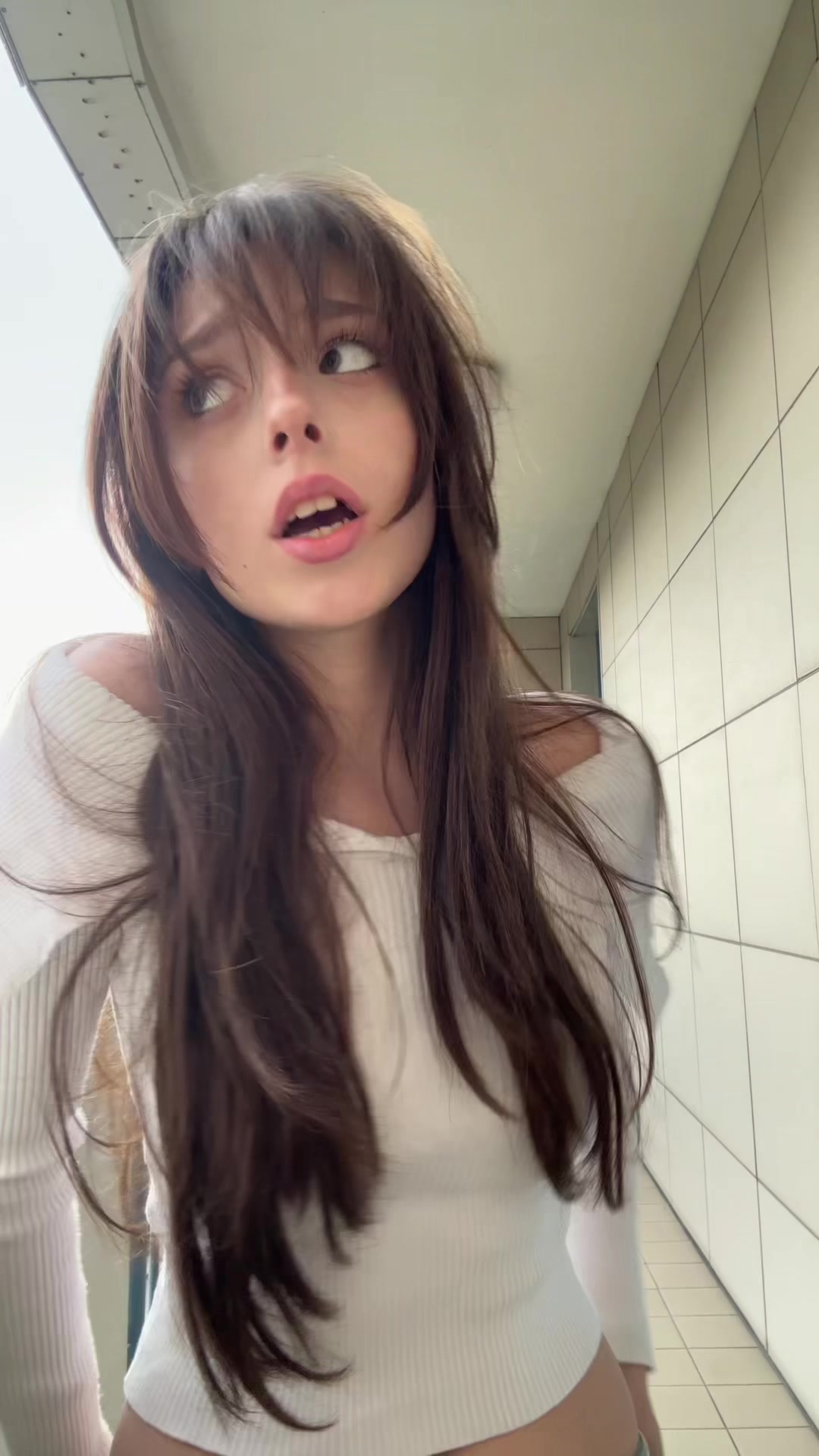 @awilumk