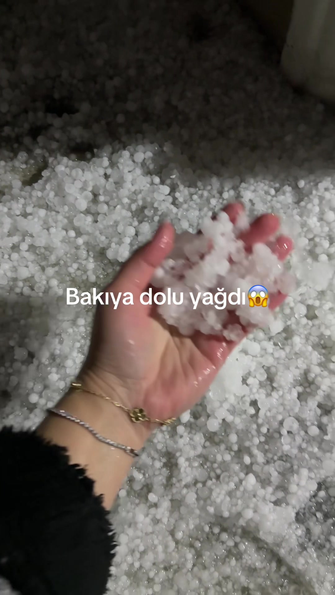 @Röya Qurban