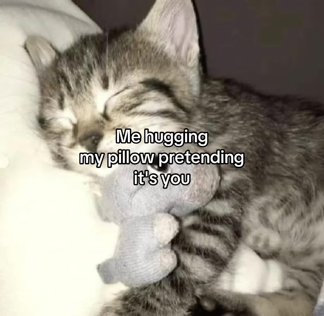 @Alice.cattok