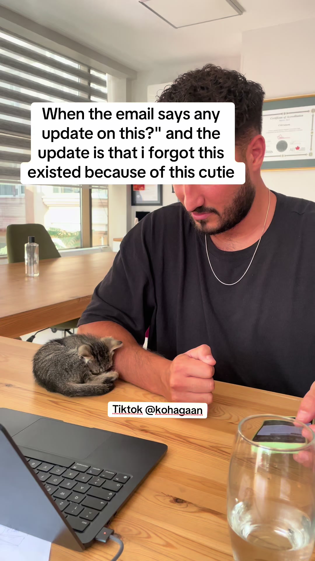 @kohagaan
